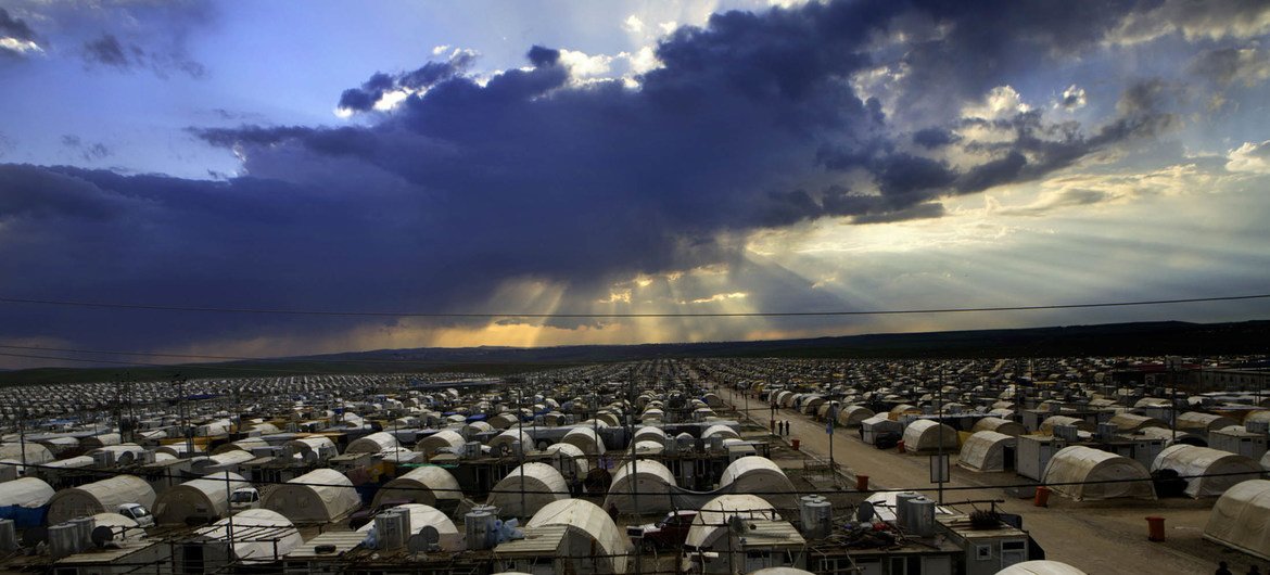 Nikol porno 1 Fotosessiya uchun erotik tasvirlar